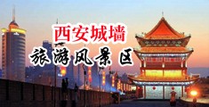 日逼欧美中国陕西-西安城墙旅游风景区