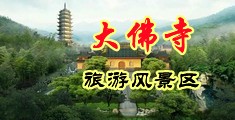 大骚逼操大鸡巴网址天堂大骚逼中国浙江-新昌大佛寺旅游风景区